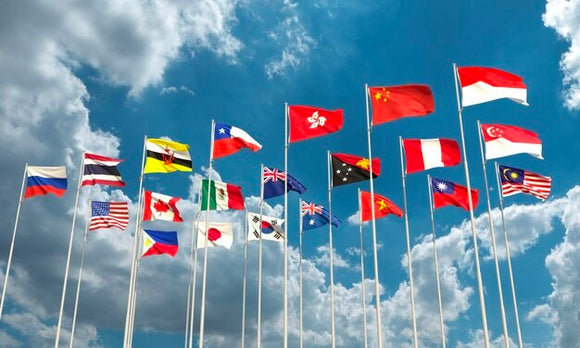 INTERNATIONAL FLAGS