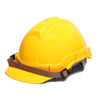 Safety Helmet
